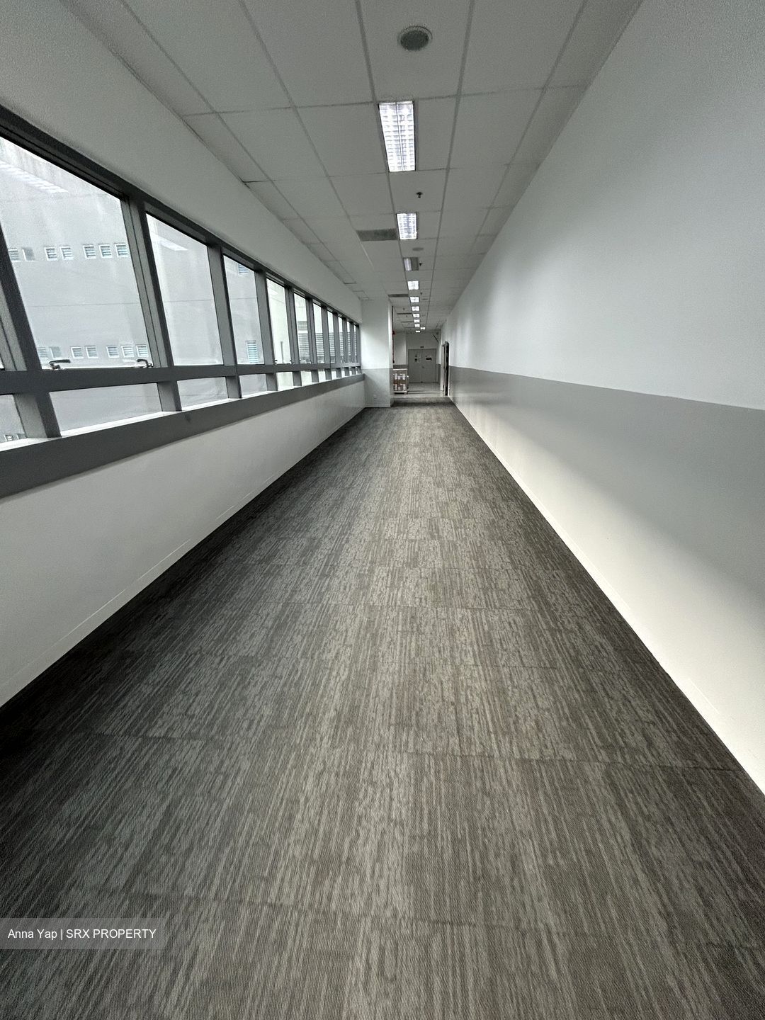 Techpoint (D20), Factory #597150541